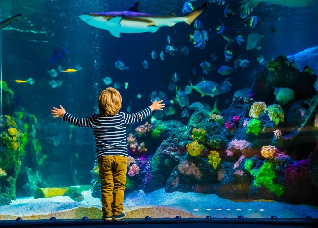 Aquarium Helsinki Finland