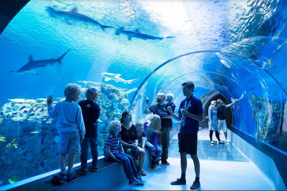 Private Blue Planet Aquarium Tour in Copenhagen | Easy Travel: Holidays in Finland, Scandinavia