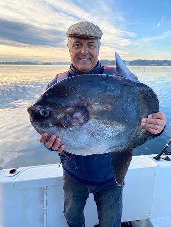 Fjord and sea fishing in Norway