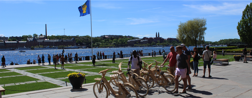 wooden bike tour stockholm